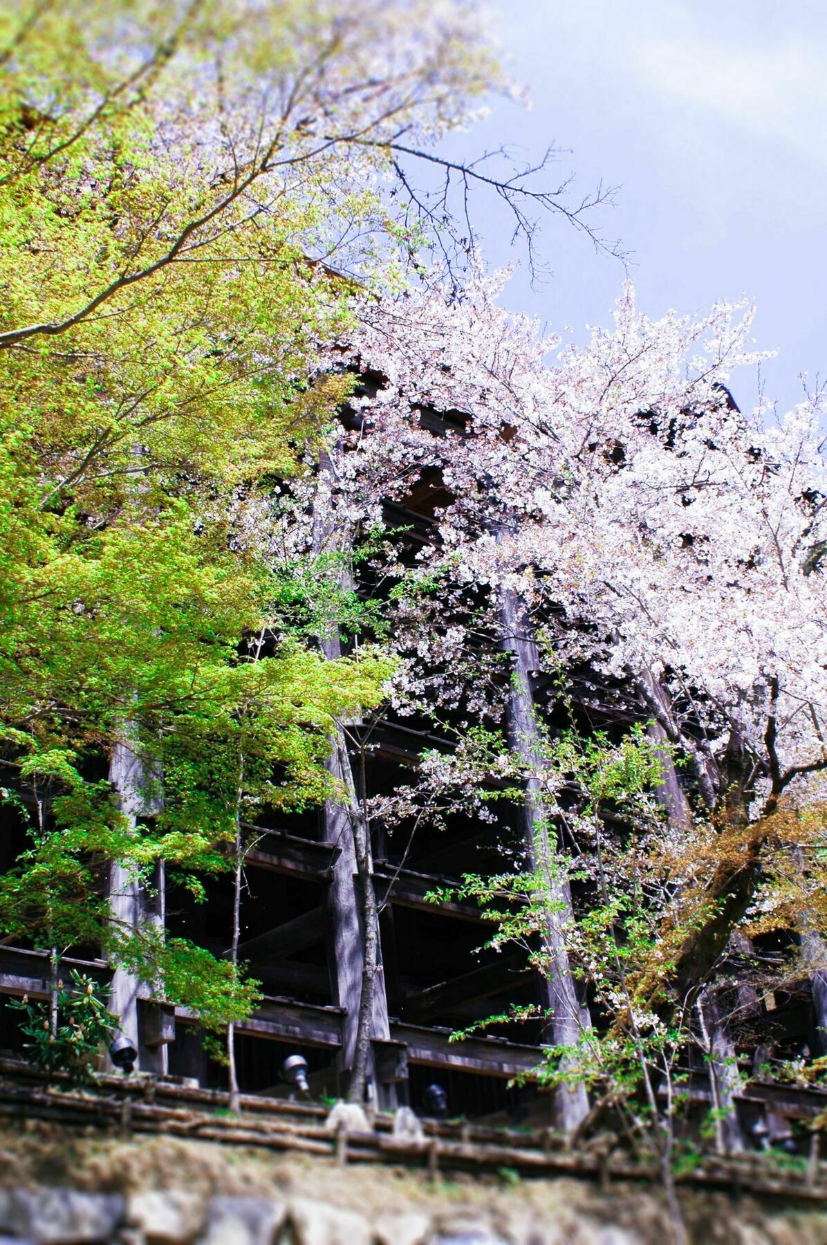 Stay Sakura Kyoto Machiya Akari 외부 사진